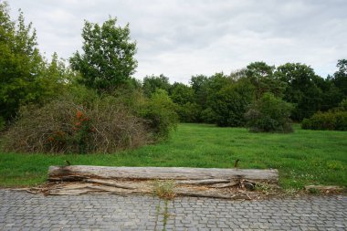 Berlin, Almanya 'da güzel bir eylül manzarası
