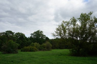Berlin, Almanya 'da güzel bir eylül manzarası