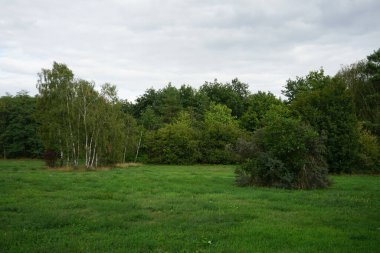 Berlin, Almanya 'da güzel bir eylül manzarası