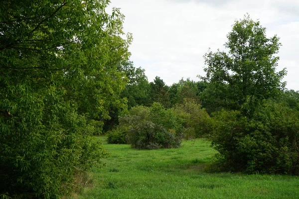 Schöne Septemberlandschaft Urlaubsort Berlin Deutschland — Stockfoto