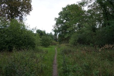 Berlin ormanında toprak izi. Kopenick, Berlin, Almanya