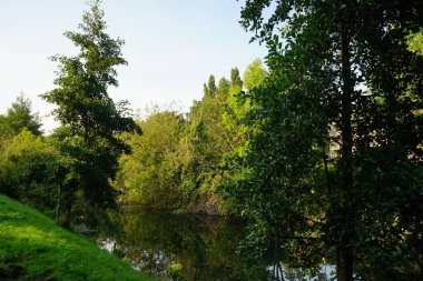 Eylül ayında Wuhle Nehri 'nin kıyısındaki olağanüstü yoğun bitki örtüsü. Kopenick, Berlin, Almanya 