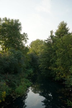 Eylül ayında Wuhle Nehri 'nin kıyısındaki olağanüstü yoğun bitki örtüsü. Kopenick, Berlin, Almanya 