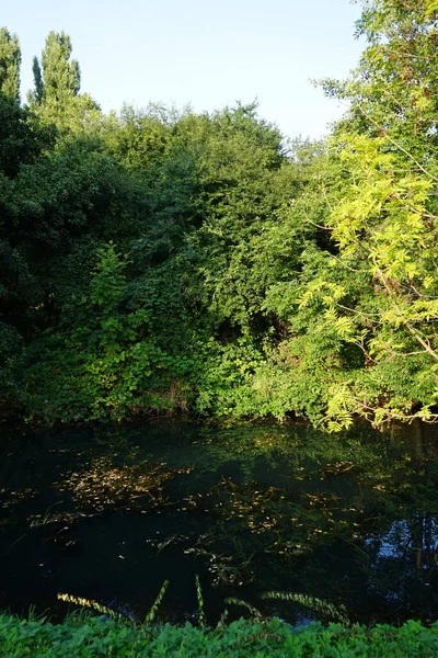 Magnifique Végétation Dense Sur Les Rives Rivière Wuhle Septembre Kopenick — Photo