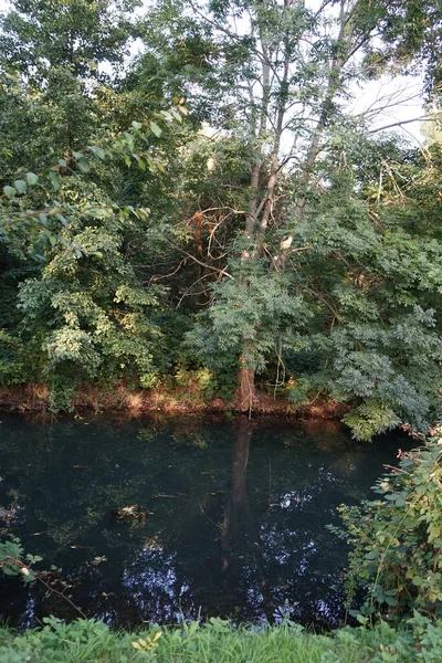 Csodálatos Sűrű Növényzet Wuhle Folyó Partján Szeptemberben Kopenick Berlin Németország — Stock Fotó