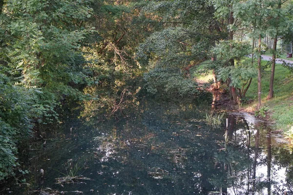 Eylül Ayında Wuhle Nehri Nin Kıyısındaki Olağanüstü Yoğun Bitki Örtüsü — Stok fotoğraf