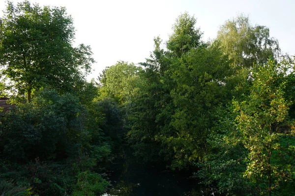 Prachtige Dichte Vegetatie Aan Oevers Van Rivier Wuhle September Kopenick — Stockfoto