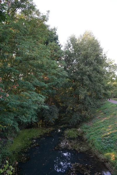 Magnifique Végétation Dense Sur Les Rives Rivière Wuhle Septembre Kopenick — Photo