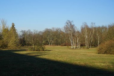 Güneşli bir Şubat günü Innovationspark Wuhlheide 'de kış bitkilerinin görüldüğü güzel bir manzara. Berlin, Almanya, Avrupa.                                