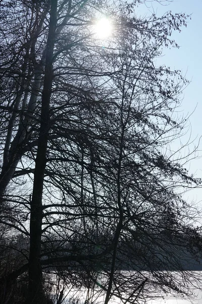 Şubat ayında güneş Wuhlebecken Gölü ya da Wuhlebecken Gölü 'nün üzerinde parlar. Wuhlebecken ya da Wuhlesee, Marzahn-Hellersdorf, Berlin, Almanya, Avrupa 'da bulunan bir göldür.. 