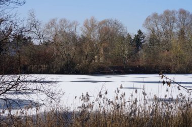 Şubat ayında Wuhlesee Gölü buz ve karla kaplıdır. Wuhlebecken ya da Wuhlesee, Marzahn-Hellersdorf, Berlin, Almanya, Avrupa 'da bulunan bir göldür.. 