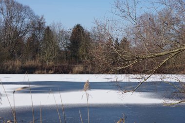 Şubat ayında Wuhlesee Gölü buz ve karla kaplıdır. Wuhlebecken ya da Wuhlesee, Marzahn-Hellersdorf, Berlin, Almanya, Avrupa 'da bulunan bir göldür.. 