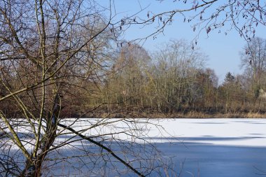 Şubat ayında Wuhlesee Gölü buz ve karla kaplıdır. Wuhlebecken ya da Wuhlesee, Marzahn-Hellersdorf, Berlin, Almanya, Avrupa 'da bulunan bir göldür.. 