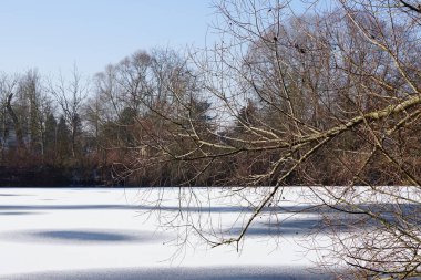 Şubat ayında Wuhlesee Gölü buz ve karla kaplıdır. Wuhlebecken ya da Wuhlesee, Marzahn-Hellersdorf, Berlin, Almanya, Avrupa 'da bulunan bir göldür.. 