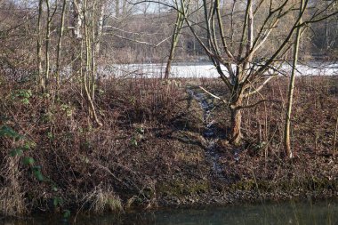 Şubat ayında Wuhlesee Gölü ve Wuhle Nehri manzarası. Wuhlebecken ya da Wuhlesee, Marzahn-Hellersdorf, Berlin, Almanya, Avrupa 'da bulunan bir göldür.. 