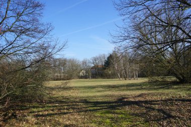 Güzel doğa manzarası Şubat ayında Innovationspark Wuhlheide 'de görülebilir. Berlin, Almanya, Avrupa.                                