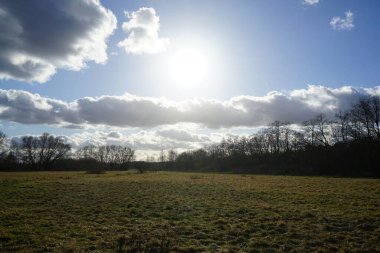 Şubat ayında Kaulsdorfer Baggersee dinlenme alanında güneş bulutlu bir gökyüzünde parlıyor. Berlin, Almanya, Avrupa.                               
