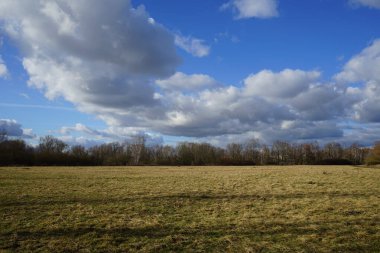 Şubat ayında Kaulsdorfer Baggersee dinlenme alanında, kış bitkilerinin bulunduğu güzel bir manzara mevcuttur. Berlin, Almanya, Avrupa. 