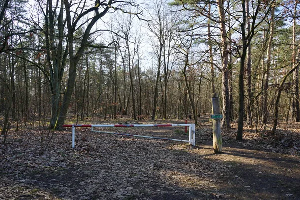 Şubat ayında ormanda yolu koruyan bir bariyer var. Berlin, Almanya, Avrupa. 