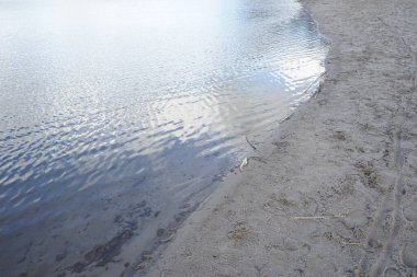 Şubat ayında Habermannsee Gölü 'nün kış bitkileriyle manzarası. Kaulsdorfer Baggersee, Berlin, Almanya, Avrupa. 