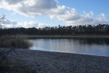 Şubat ayında Habermannsee Gölü 'nün kış bitkileriyle manzarası. Kaulsdorfer Baggersee, Berlin, Almanya, Avrupa. 