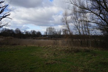 Butzer Gölü manzarası Şubat ayında kış bitkileriyle birlikte. Kaulsdorfer Baggersee, Berlin, Almanya, Avrupa. 