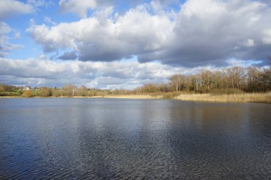 Butzer Gölü manzarası Şubat ayında kış bitkileriyle birlikte. Kaulsdorfer Baggersee, Berlin, Almanya, Avrupa. 