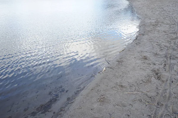 Şubat ayında Habermannsee Gölü 'nün kış bitkileriyle manzarası. Kaulsdorfer Baggersee, Berlin, Almanya, Avrupa. 