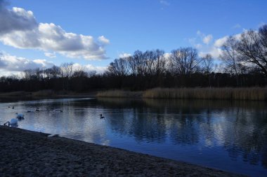 Şubat ayında Kaulsdorfer Baggersee dinlenme bölgesinde Habermannsee Gölü 'nde Cygnus olor, Fulica atra ve Anas platyrhynchos su kuşu yüzerler. Dilsiz kuğu (