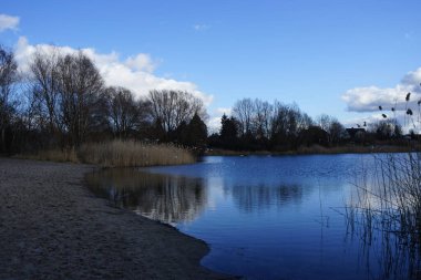 Corvus cornix, Chroicocephalus ridibundus, Fulica atra ve Anas platyrhynchos kuşları Şubat ayında Kaulsdorfer Baggersee dinlenme alanında Habermannsee Gölü yakınlarında yaşamaktadırlar. Berlin, Almanya, Avrupa.                                