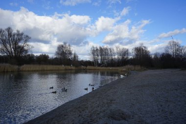Şubat 'ta Habermannsee yakınlarındaki Kaulsdorfer Baggersee dinlenme bölgesinde Cygnus olor, Fulica atra, Anas platyrhynchos, Chroicocephalus ridibundus kuşları yaşamaktadır. Dilsiz kuğu (