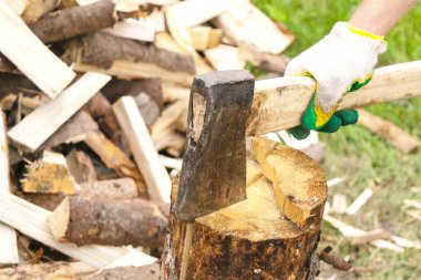 Ahşap kesici ahşap kenevirde göze çarpar. Balta ve balta sapı. Erkek eli, beyaz renkli eldivenli, elinde balta tutan. Ahşap. Keskin bir balta ile ormanların tahrip edilmesi. Odun kesmek için balta. Paslı ama keskin ormancı baltası ya da marangoz baltası..