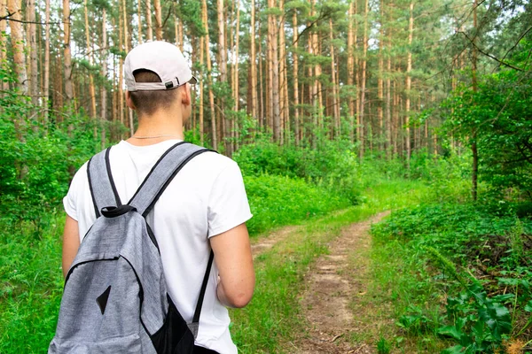 Beyaz tişört şapkalı, gri sırt çantalı bir erkek turistin arka görüntüsü, ormanda bir patika boyunca yürüyor, uzaklığa bakıyor. Tatil ve doğa aktiviteleri kavramı.