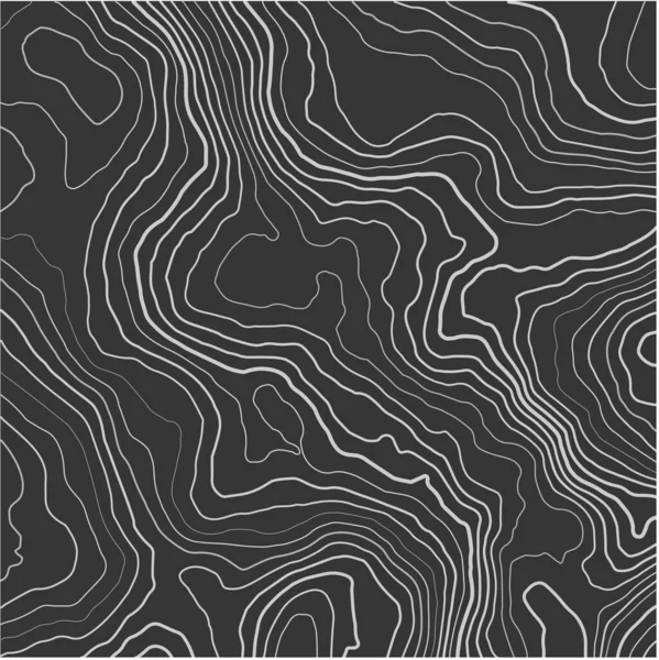 Topografische Kaart Zwarte Lijnen Witte Achtergrond Contour Abstracte Achtergrond Vectorillustratie — Stockvector