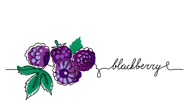 Blackberry, bramble, dauwbes, vector kleur illustratie, achtergrond. Zwarte bessen schets voor label ontwerp. Eén doorlopende lijntekening van braam met belettering. Bewerkbare zwarte beroerte — Stockvector