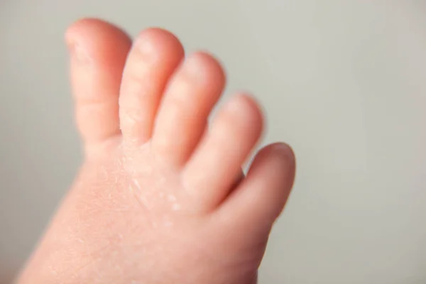 Fuß eines neugeborenen Babys. — Stockfoto