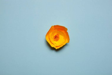 El yapımı kağıt sanat çiçekleri.