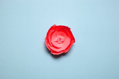 El yapımı kağıt sanat çiçekleri.