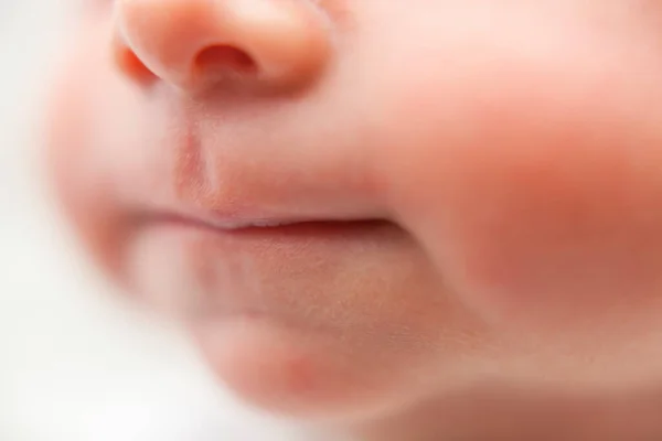 Neugeborene Babylippen. Nahaufnahme. — Stockfoto