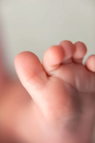 Fuß eines neugeborenen Babys. — Stockfoto