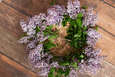 Yeni doğan dijital fon. Leylak çiçekleri çelengi. 