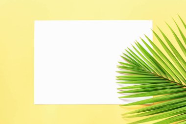 Sarı zemin üzerinde palmiye yaprağı olan boş bir çarşaf.