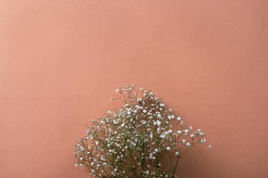 Kahverengimsi kırmızı arka planda beyaz çigila çiçekleri