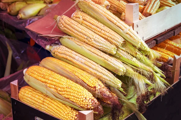 Venda Milho Mercado Colheita Outono Conceito Ação Graças — Fotografia de Stock