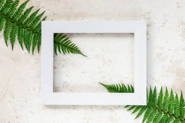 Eğreltiotu yapraklarıyla dekore edilmiş beyaz fotoğraf çerçevesi açık gri beton arka plan, doku.