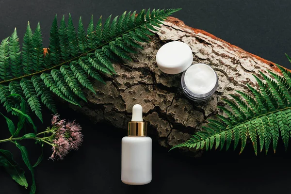 White bottle with cosmetic serum and a jar of cream on the bark of a tree with fern leaves. Natural cosmetics concept. Black background