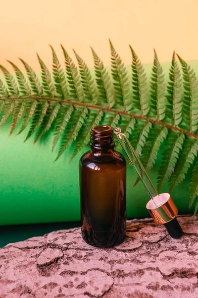 Bottle of cosmetic oil with a dropper on a green background with fern leaves and tree bark. Spa and wellness concept. Front view