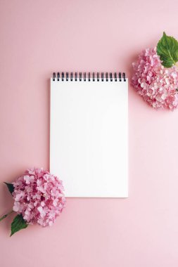 Pastel arka planda pembe ortanca çiçekleri olan boş spiral defter. Üst görünüm, düz görünüm, model.