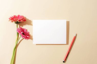 Kırmızı kalemli boş beyaz kart ve bej arka planda pembe Gerbera çiçekleri. Üst görünüm, düz görünüm, model.