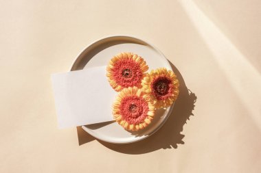 Tebrik kartı, davetiye maketi. Gerbera çiçekli seramik tabak ve güneş ışığında tarafsız arkaplanda boş kart. Düz yatış, üst görünüm.